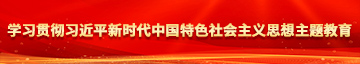 A片好吊日视频学习贯彻习近平新时代中国特色社会主义思想主题教育